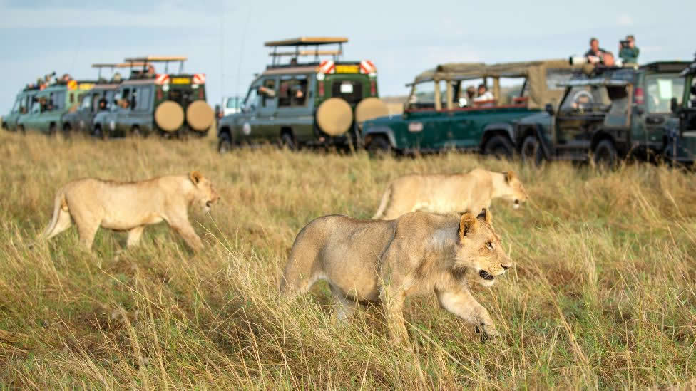 3-Day Masai Mara Safari