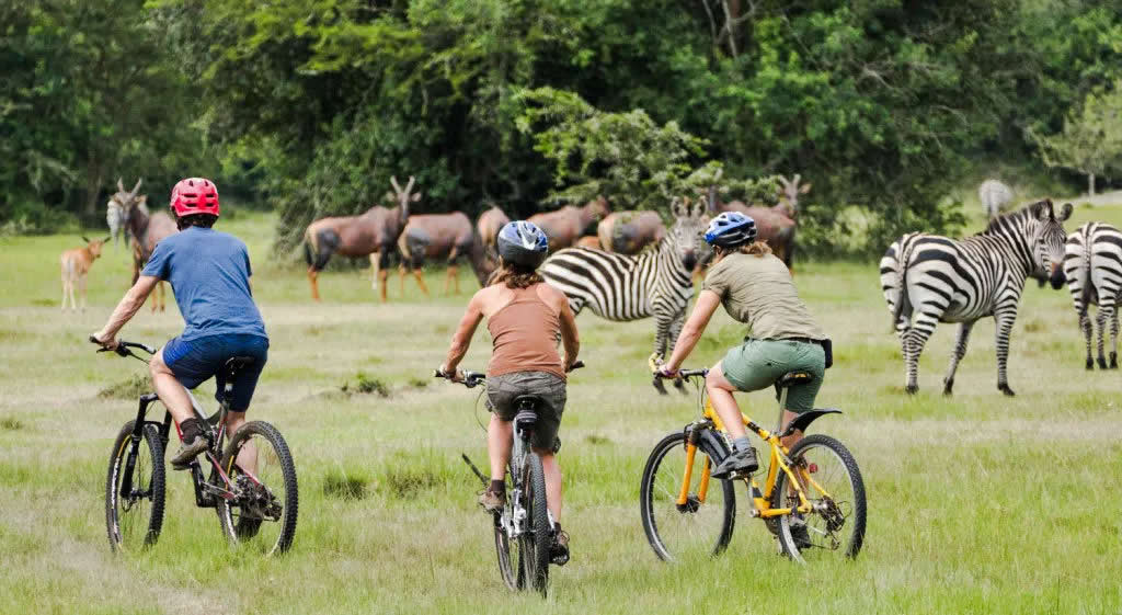 0-Day Ultimate Uganda Explorer